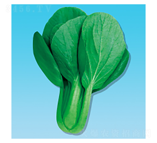 ๣˷N-398-A孷NI(y)