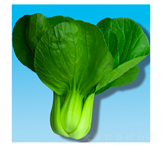 ๣˷N-399-A孷NI(y)