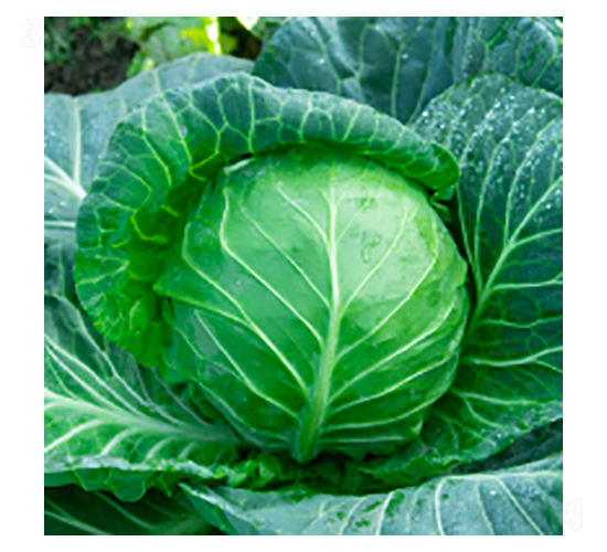 {(ln)N-學312-A孷NI(y)