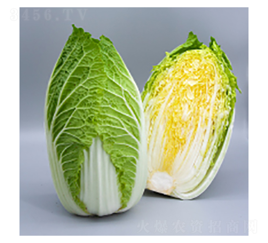 ײ˷N-ײ15̖-A孷NI(y)