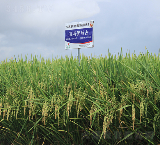 Ƀ(yu)zռ-ˮN-𽡷NI(y)