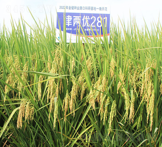 Ƀ(yu)281-ˮN-𽡷NI(y)