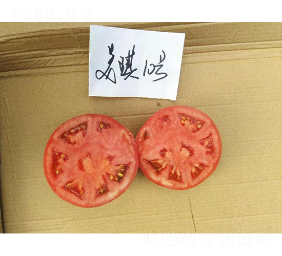 ߿10̖(ho)-ѷN-SNI(y)