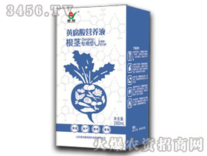 oSI(yng)B(yng)Һ-