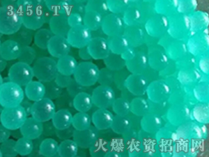 ͻϣw-ﱣ-