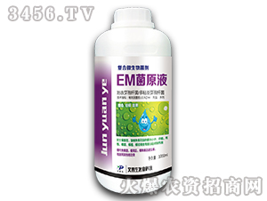 EMԭҺ-(f)΢-