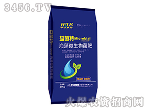 40kg΢--As