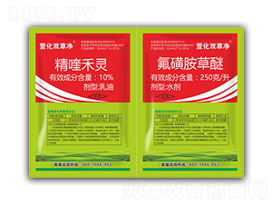 10%୺`+250/ǰˮ-滯p݃-滯h