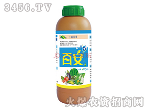 (qing)ٸ_ʩ-ٰ-ְٲ