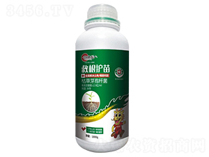 ȸo(h)磨ȫQ(wn)}-ŵ