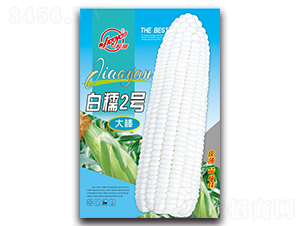 Ŵ2̖(ho)-Ŵ׷N-z