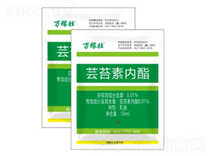 |̦؃(ni)-fډ-r(nng)_ 