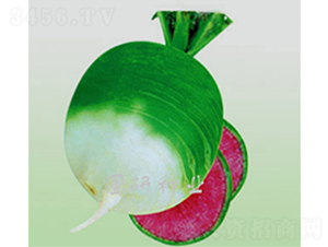 Müt-}N-(gu)зNI(y)