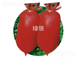 ļt1̖(ho)-}N-GI(lng)NI(y)