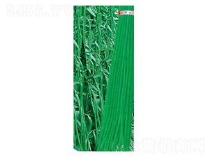 ߮a(chn)L(zhng)-ǷN-߶˷NI(y)