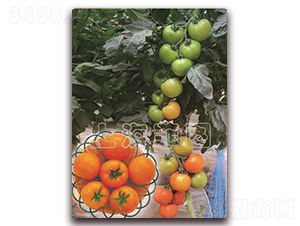 һ̖(ho)-ɫѷN-ƈDNI(y)