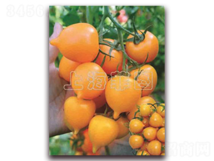 һ̖(ho)-ɫѷN-ƈDNI(y)