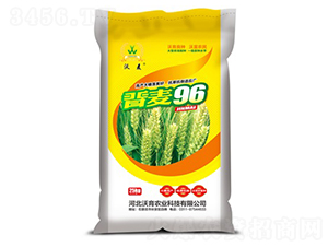 x96-СN-rI(y)