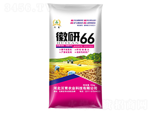 66-СN-rI(y)