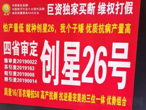 (chung)26̖-СN-rI(y)