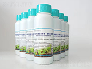 Сˮ΢IB(yng)ҺҺ-