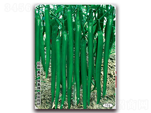 ¸S̖-N-(lin)SNI(y)