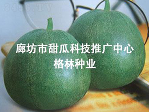 ʮһ-ϷN-(i)NI(y)