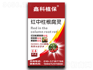 t`ݮ(zhun)ã-˹