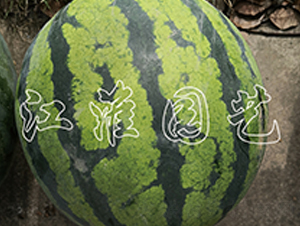 3̖(ho)-ϷN-@ˇ