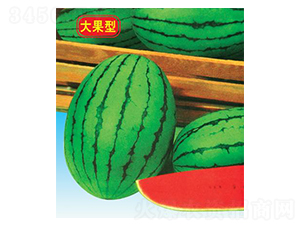 紺t-ϷN-΢ȷNI(y)
