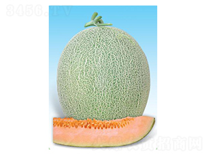 tֶ̖(ho)-ϷN-΢ȷNI(y)