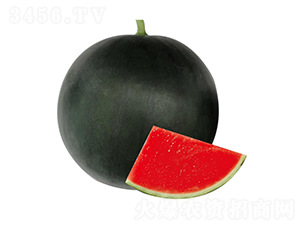 H8̖-ϷN-ľN