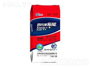 Ԫ̿܏ͺϷ26-12-12+TE-Ѓ|r