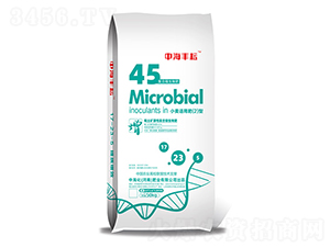 Сm÷2-кS-кʘI(y)