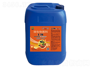 ΢20kg--r