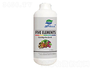 ΢Ԫأ}V\F-ۿ