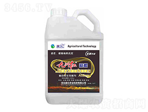 ͺ΢-ݼt۸-ǃ|r(nng)I(y)