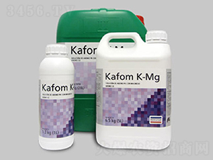 Kafom K Mg ֲﱣo(h)T(do)-~˹