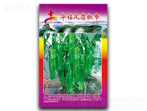 A@L(fng)ҽ-N-AһNI(y)