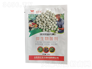 ΢-֠(yu)Ƭ-փ|