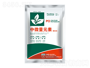 ϑB(ti)΢Ԫ-__ʘI(y)