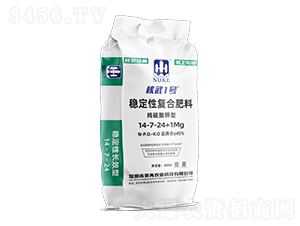 (wn)ԏ(f)Ϸ14-7-24+1Mg-1̖-