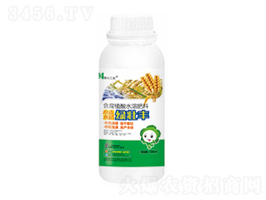 500mlСˮGS-݃|r