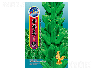 (ji)(ji)1̖(ho)-֥N-AһNI(y)