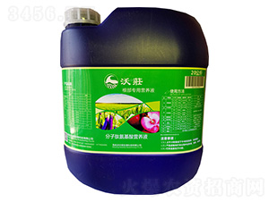 (zhun)àI(yng)B(yng)Һ20kg-֠