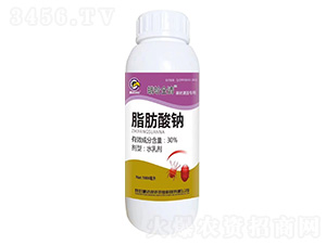 30%֬c-ȫ-i_r(nng)