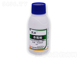 4%ùҺ-׿-X(qin)
