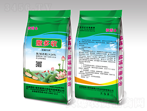 ɏź(zhun)-ֲʿ
