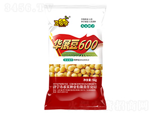 Aչ600--(sh)NI(y)