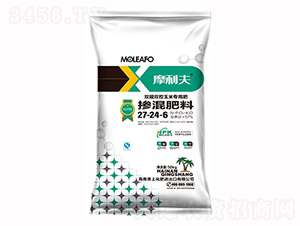 pĤp׌(zhun)Ó27-24-6-Ħ-ϻ